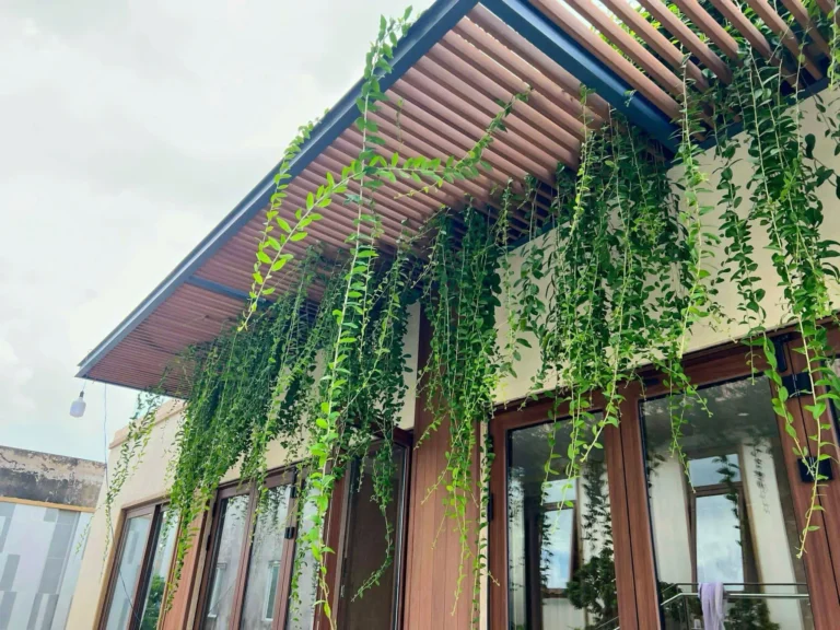 Giàn hoa gỗ nhựa ngoài trời