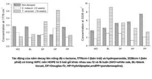 Tác động của nấm đến các loại gỗ làm sàn gỗ nhựa