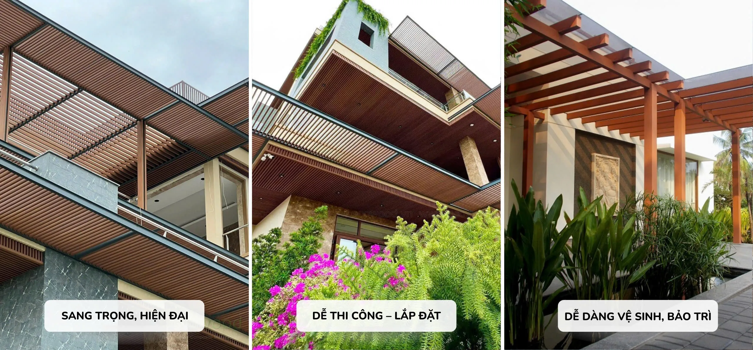 Banner Kiến Mộc Phát