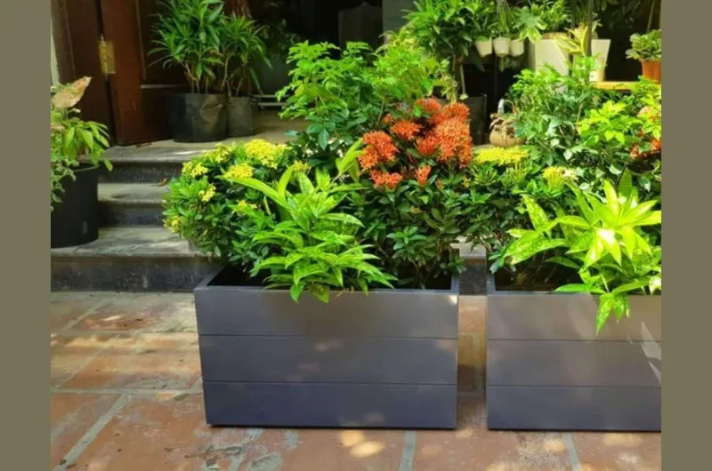 Bồn hoa gỗ nhựa góp phần trong xu hướng sống xanh hoá và hiện đại