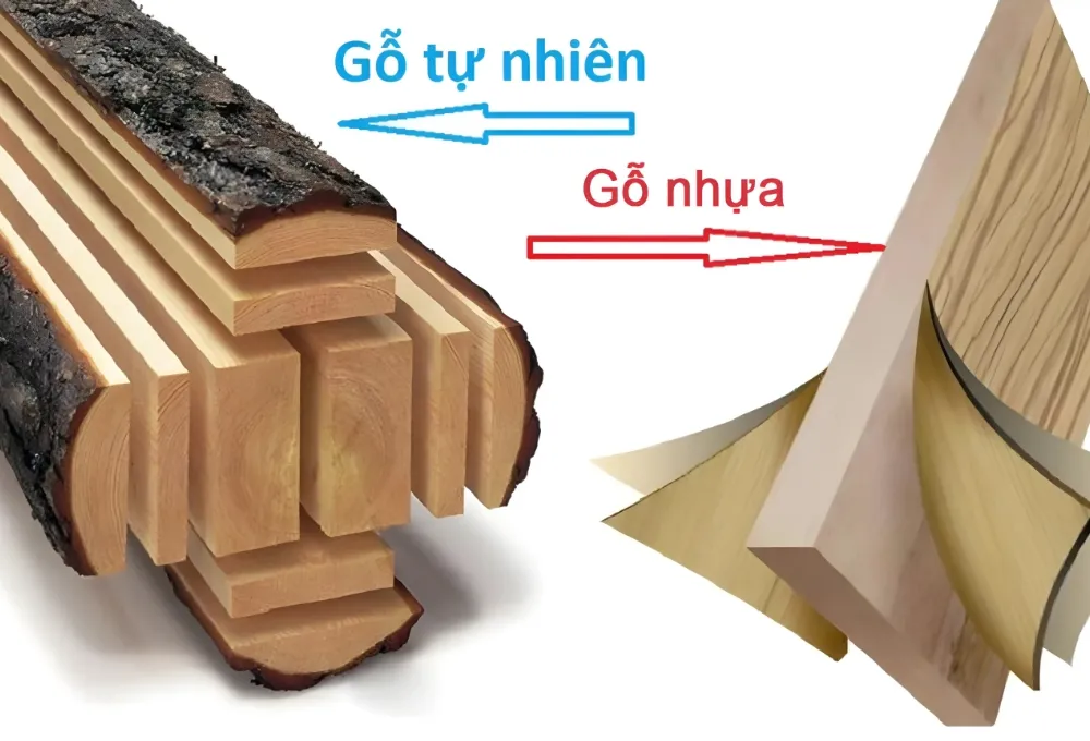 Cấu tạo Gỗ tự nhiên và Gỗ nhựa